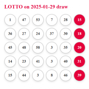 Lottery Draw 2% share of the prize if any of the 5 tickets wins 29/01/2025