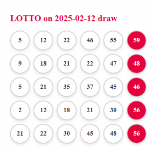 Lotto Draw 2% share of the prize if any of the 5 tickets wins 12/02/2025