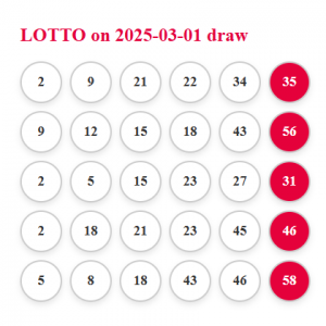 Lotto Draw 2% share of the prize if any of the 5 tickets wins 01/03/2025